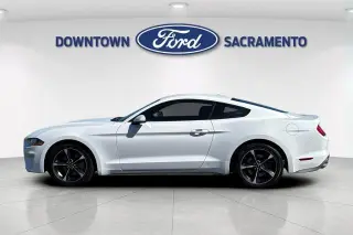 Ford Mustang 2021 EcoBoost 2dr Fastback