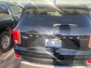 Hyundai PALISADE 2022 Limited 4dr SUV