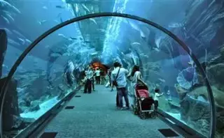 DISEÑADORES PARA DUBAI Y QATAR