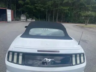 Ford Mustang 2021 EcoBoost 2dr Convertible