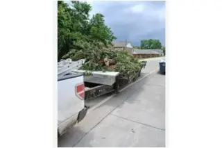 JUNK REMOVAL PROFESSIONAL!!