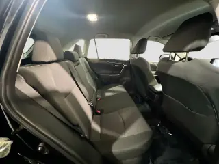 Toyota RAV4 Hybrid 2024 AWD Woodland Edition 4dr SUV