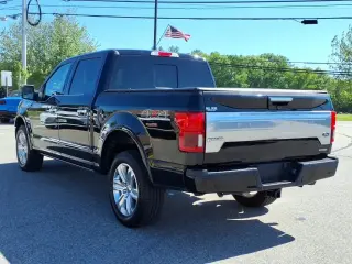 Ford F-150 2019 4x4 Platinum 4dr SuperCrew 5.5 ft. SB