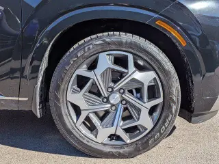 Hyundai PALISADE 2022 Calligraphy 4dr SUV