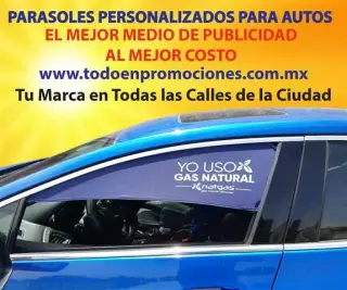 CORTINAS PARA AUTO