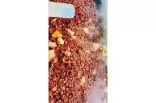 Taquizas !!! Para Fiestas 🌮