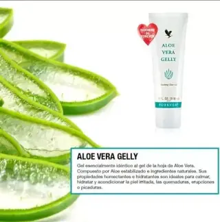 Aloe Vera para beber Forever