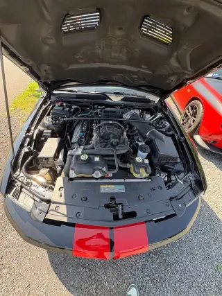 2009 Ford Mustang
