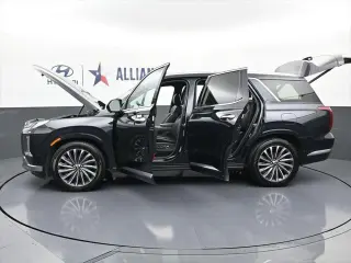 Hyundai PALISADE 2024 Calligraphy 4dr SUV