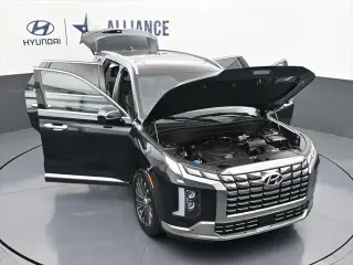 Hyundai PALISADE 2024 Calligraphy 4dr SUV
