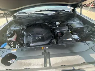 Hyundai PALISADE 2022 Calligraphy 4dr SUV