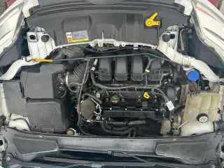 2013 Ford Focus