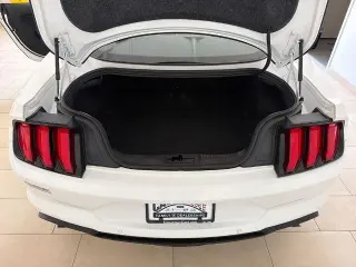 Ford Mustang 2021 EcoBoost 2dr Fastback