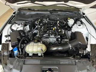 Ford Mustang 2021 EcoBoost 2dr Fastback
