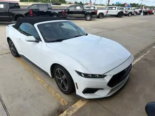 Ford Mustang 2024 EcoBoost 2dr Convertible