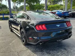 Ford Mustang 2022 EcoBoost 2dr Fastback