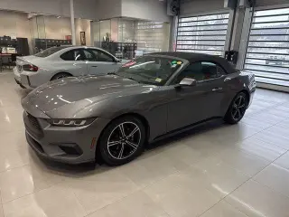 Ford Mustang 2025 EcoBoost 2dr Convertible