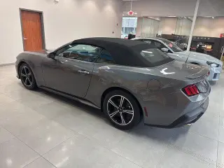 Ford Mustang 2025 EcoBoost 2dr Convertible