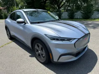 Ford Mustang Mach-E 2022 Select 4dr SUV