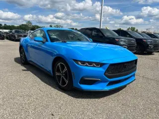 Ford Mustang 2024 EcoBoost 2dr Fastback