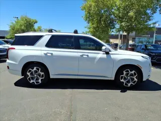 Hyundai PALISADE 2021 Calligraphy 4dr SUV