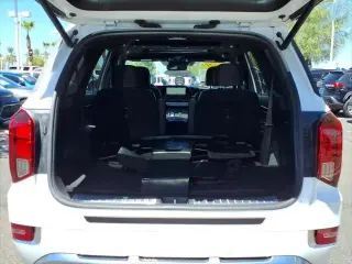 Hyundai PALISADE 2021 Calligraphy 4dr SUV