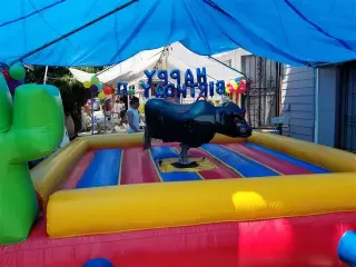 TOROS MECANICO*SS**CARPA*SSSSS