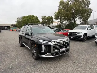 Hyundai PALISADE 2024 Calligraphy 4dr SUV