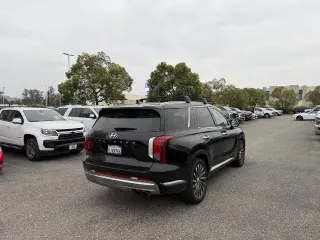 Hyundai PALISADE 2024 Calligraphy 4dr SUV