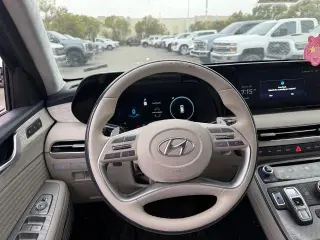 Hyundai PALISADE 2024 Calligraphy 4dr SUV