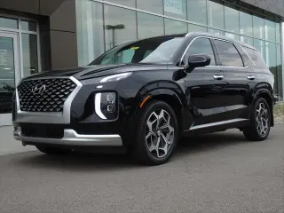 Hyundai PALISADE 2022 Calligraphy 4dr SUV