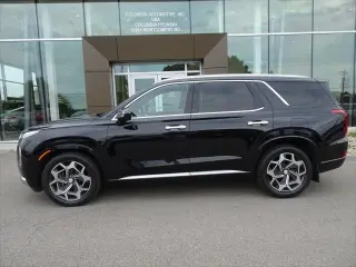 Hyundai PALISADE 2022 Calligraphy 4dr SUV