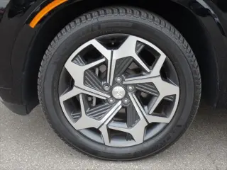 Hyundai PALISADE 2022 Calligraphy 4dr SUV