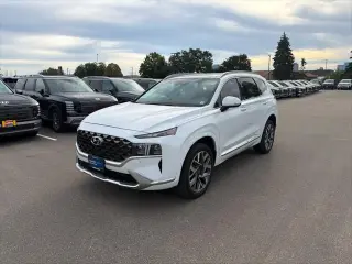Hyundai SANTA FE 2022 AWD Calligraphy 4dr Crossover