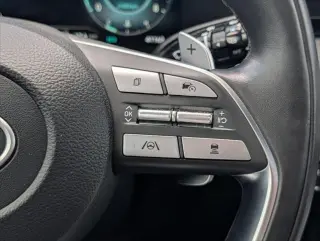 Hyundai PALISADE 2023 AWD Calligraphy 4dr SUV