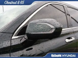 Hyundai PALISADE 2024 Calligraphy 4dr SUV