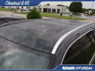 Hyundai PALISADE 2024 Calligraphy 4dr SUV