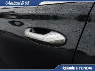 Hyundai PALISADE 2024 Calligraphy 4dr SUV