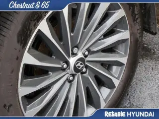Hyundai PALISADE 2024 Calligraphy 4dr SUV