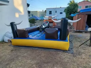 TORO TORO water slides