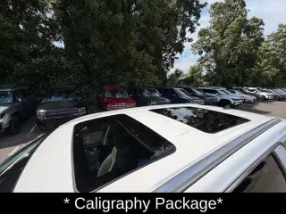 Hyundai PALISADE 2024 AWD Calligraphy 4dr SUV