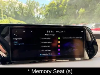 Hyundai PALISADE 2024 AWD Calligraphy 4dr SUV