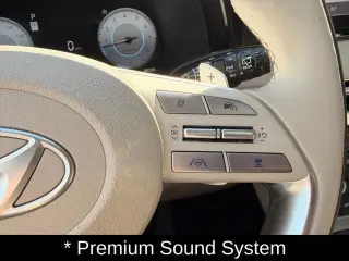 Hyundai PALISADE 2024 AWD Calligraphy 4dr SUV