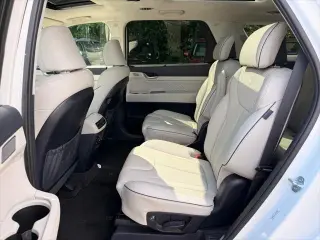 Hyundai PALISADE 2024 AWD Calligraphy 4dr SUV