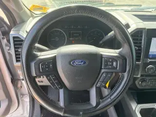 Ford F-150 2020 4x4 Platinum 4dr SuperCrew 5.5 ft. SB