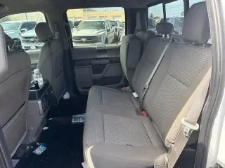 Ford F-150 2020 4x4 Platinum 4dr SuperCrew 5.5 ft. SB