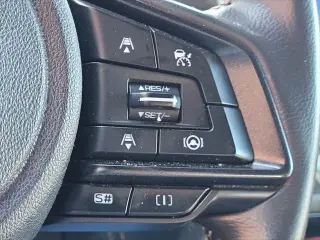 Subaru Forester 2023 AWD Wilderness 4dr Crossover