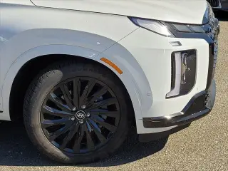 Hyundai PALISADE 2024 AWD Calligraphy Night Edition 4dr SUV