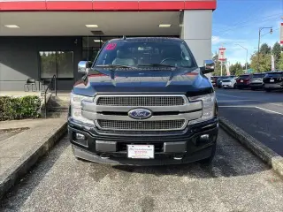 Ford F-150 2019 4x4 Platinum 4dr SuperCrew 5.5 ft. SB