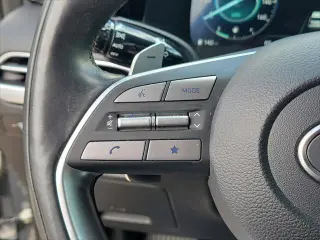 Hyundai PALISADE 2023 Calligraphy 4dr SUV